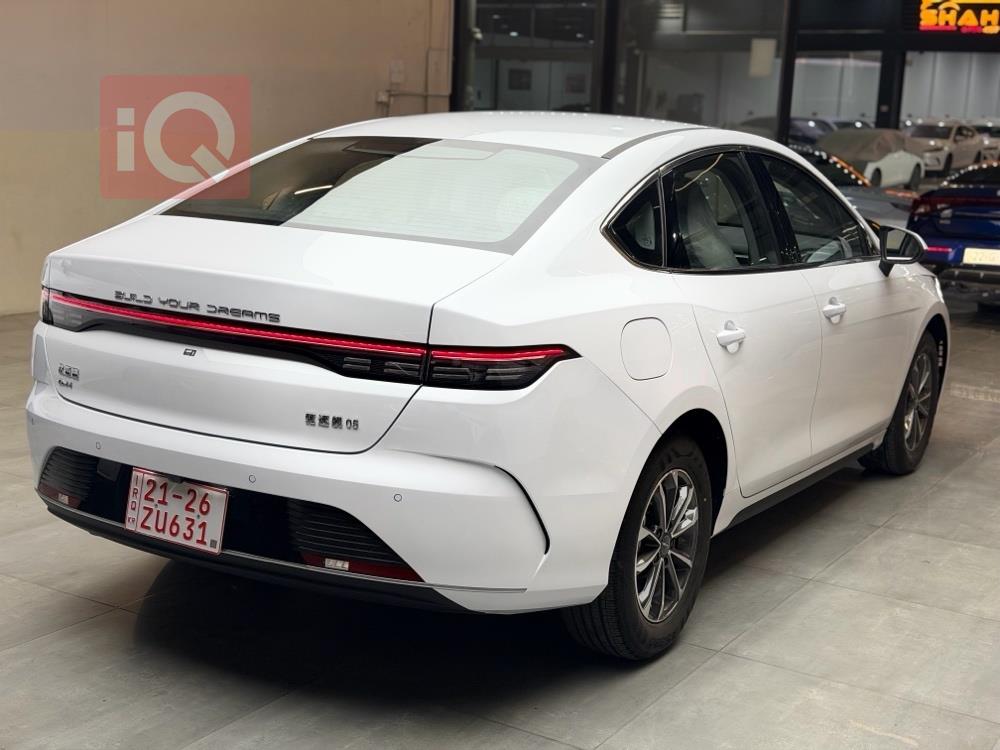 بي واي دي ديستروير 05